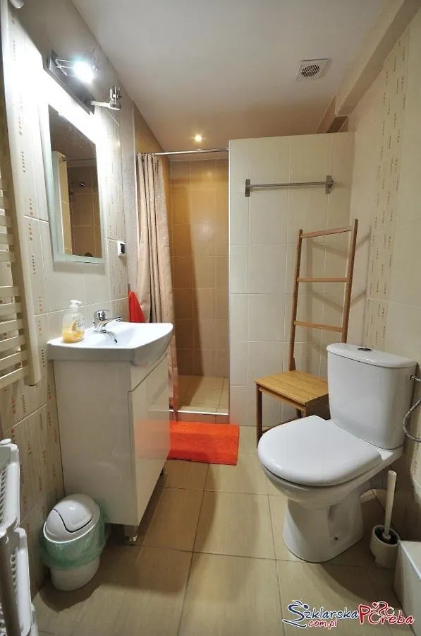 Dom Zielony Kamien Z Jacuzzi I Bilardem Szklarska Poreba